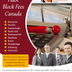 Illustration for article titled HR Block Fees Canadaem/em